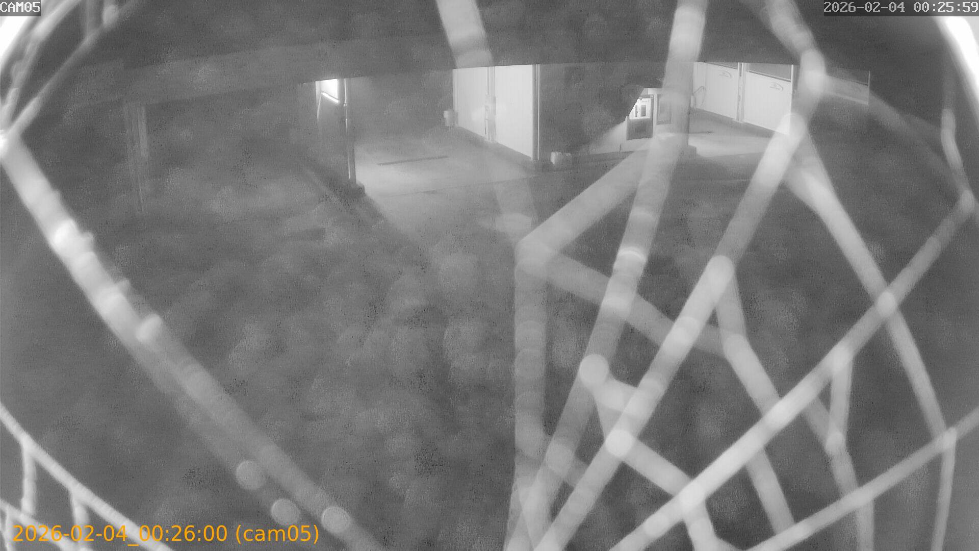 thumbnail_202602040025