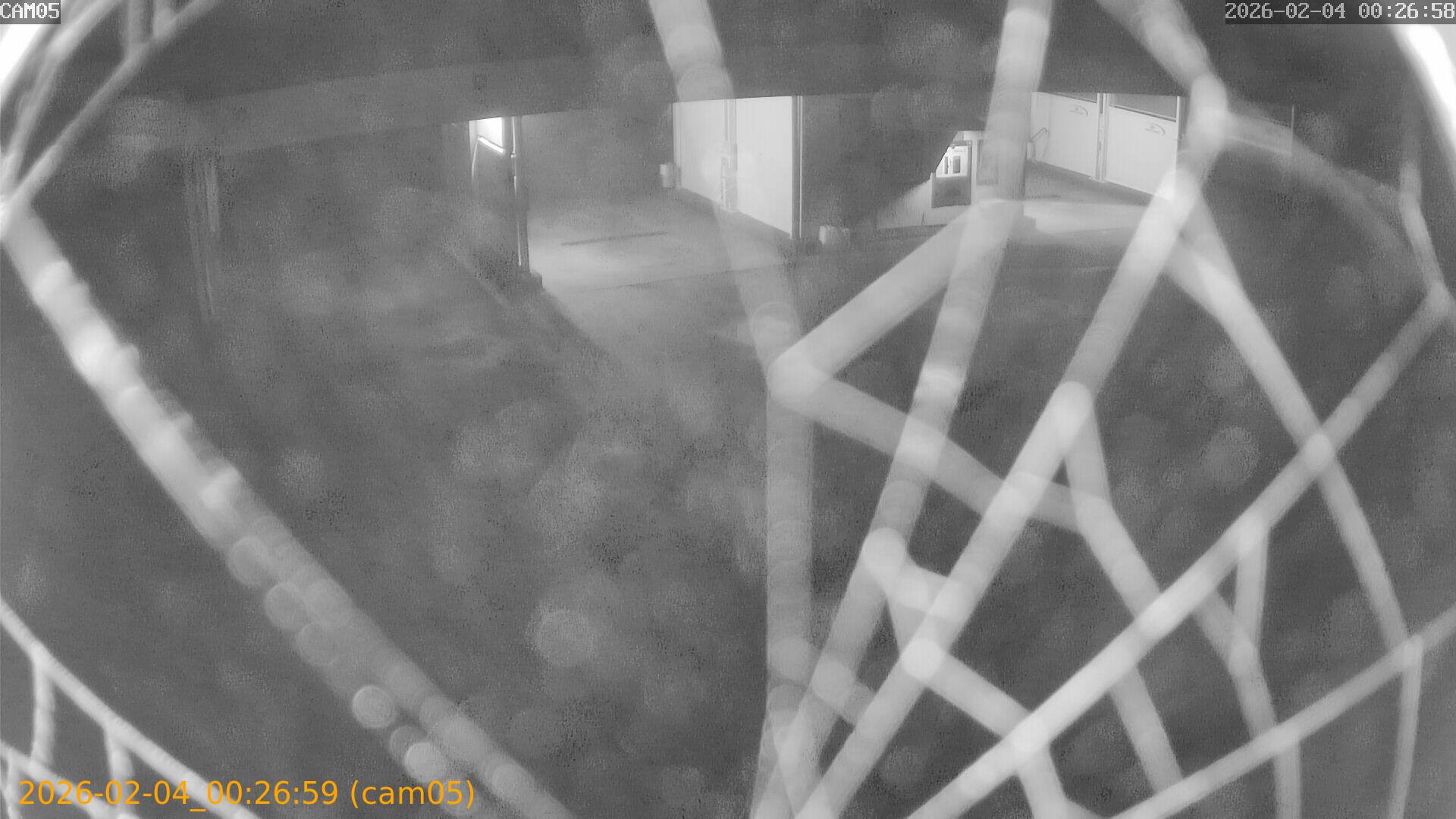 thumbnail_202602040026