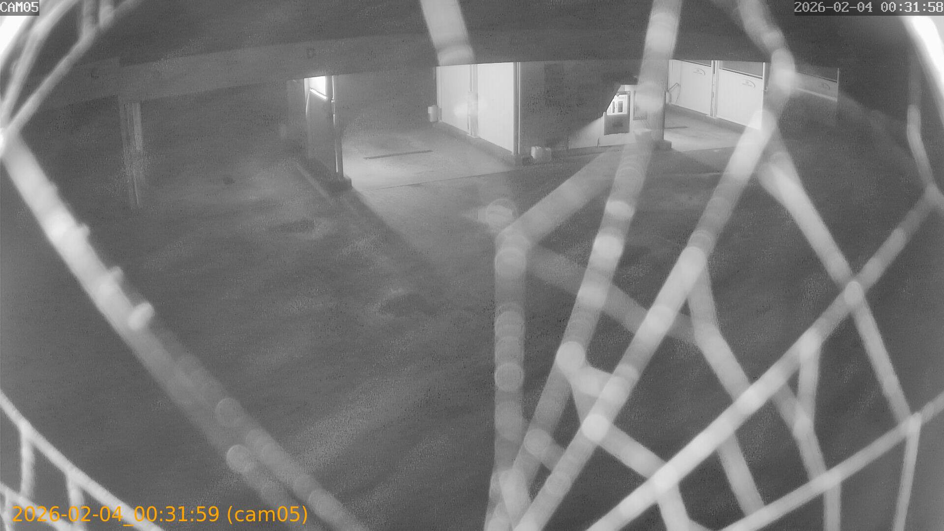 thumbnail_202602040031