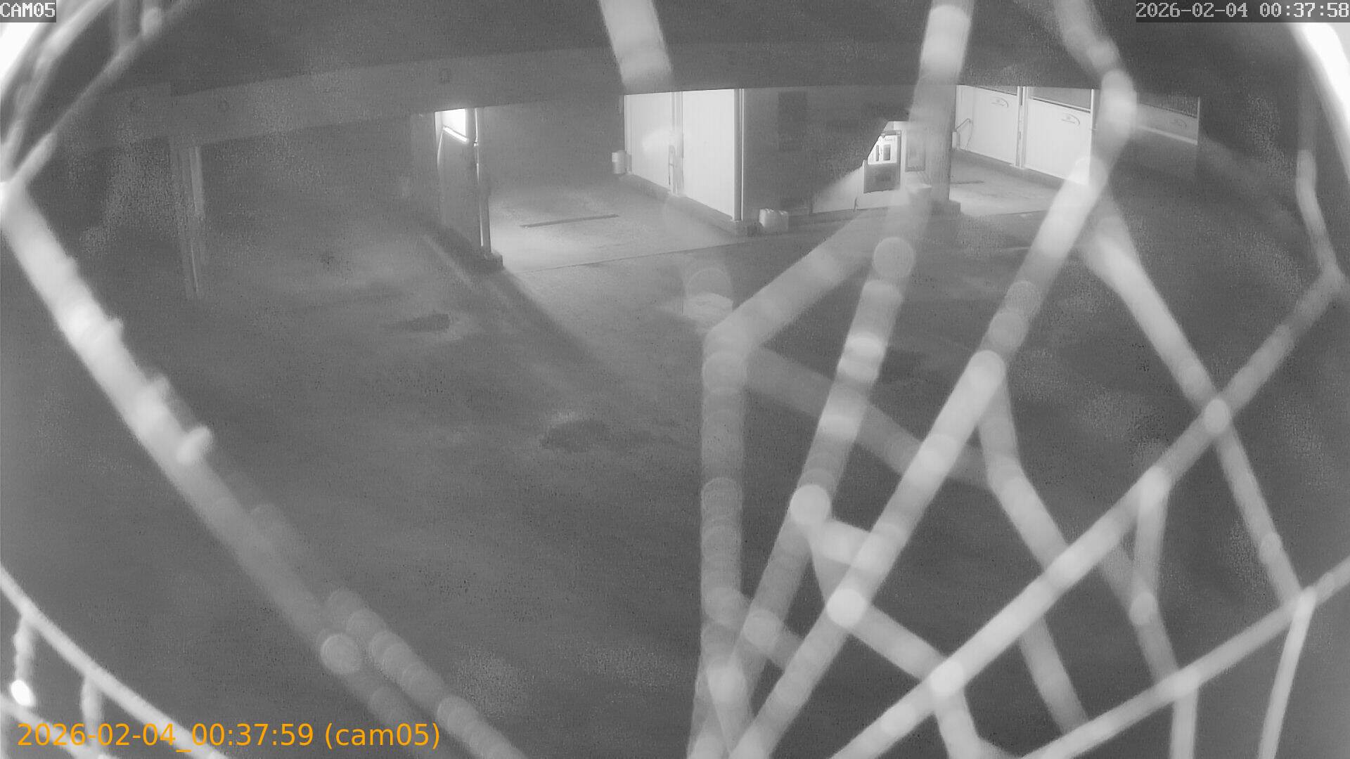 thumbnail_202602040037