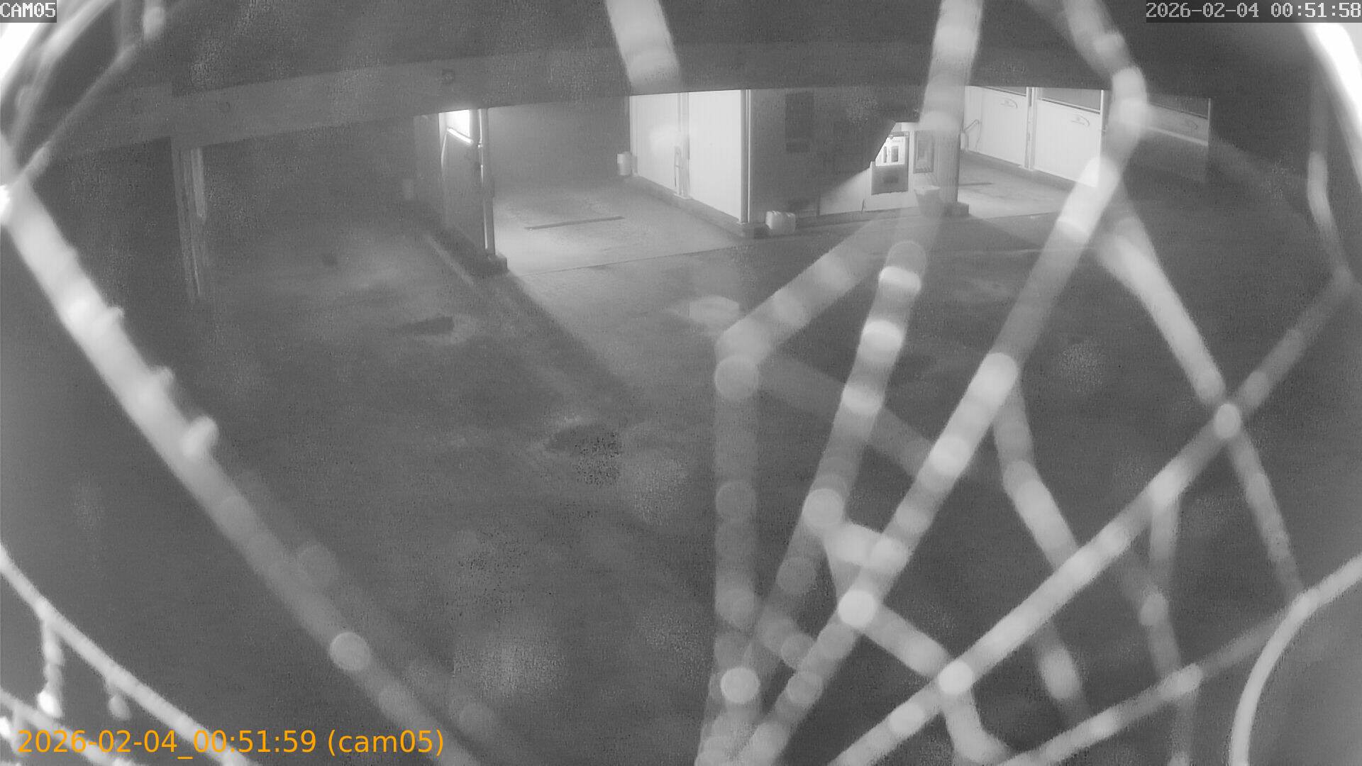 thumbnail_202602040051