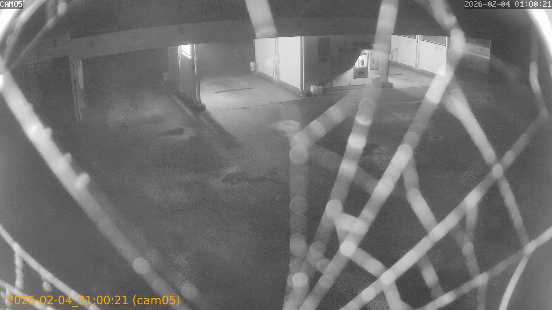 thumbnail_20260204010021