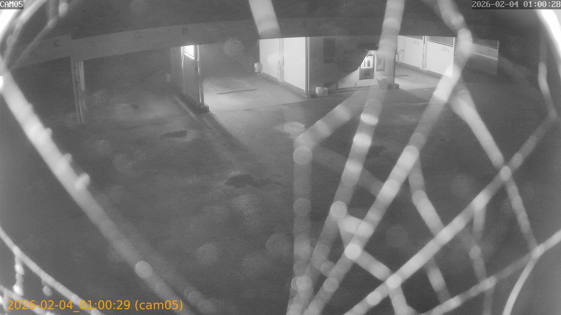 thumbnail_20260204010029