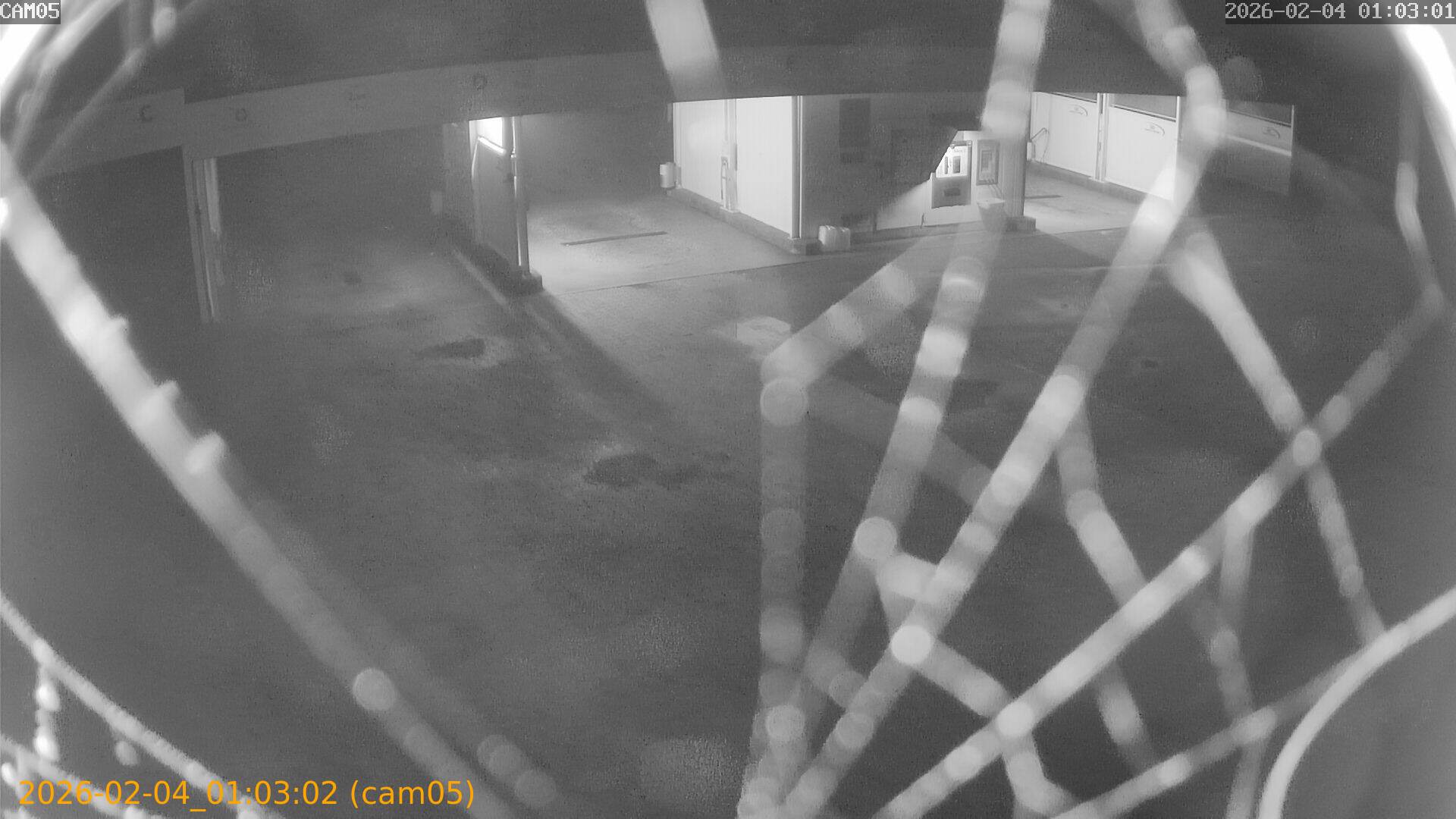 thumbnail_20260204010302