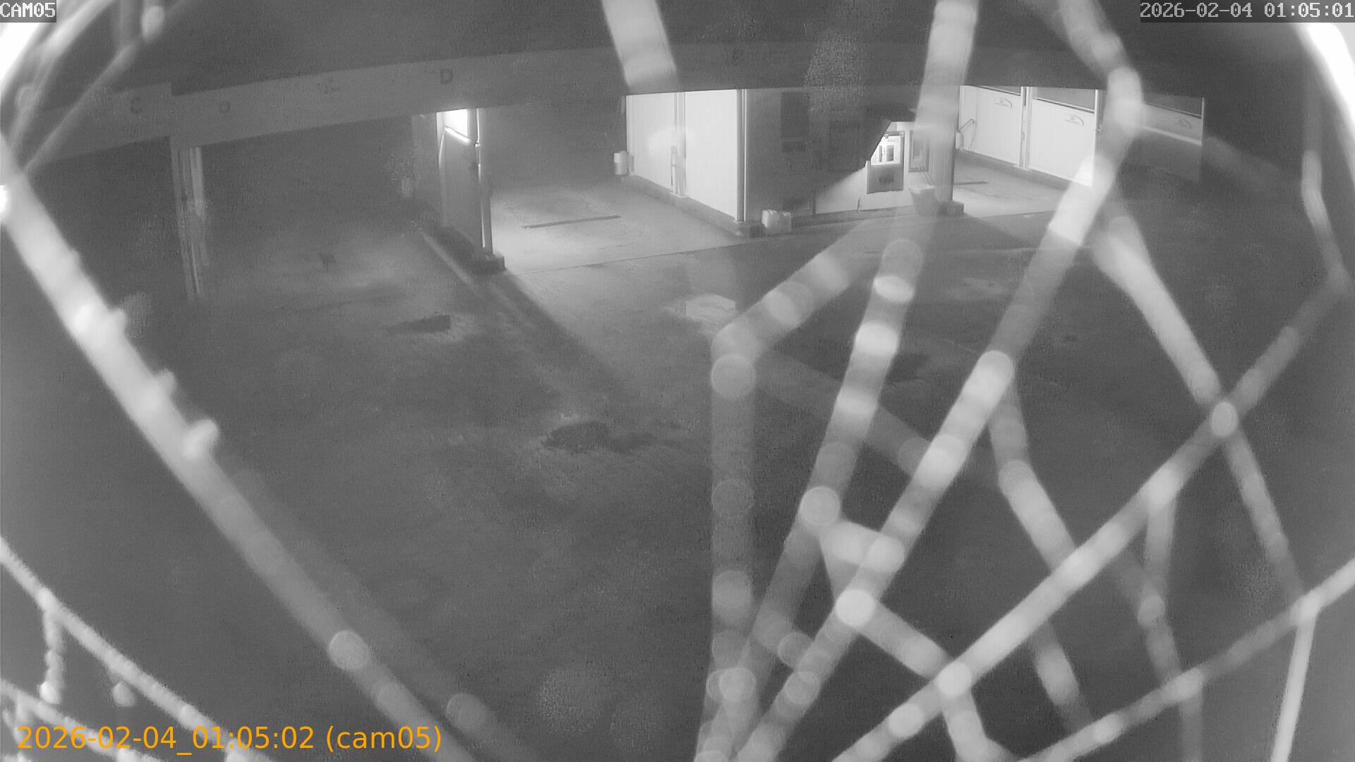 thumbnail_20260204010502