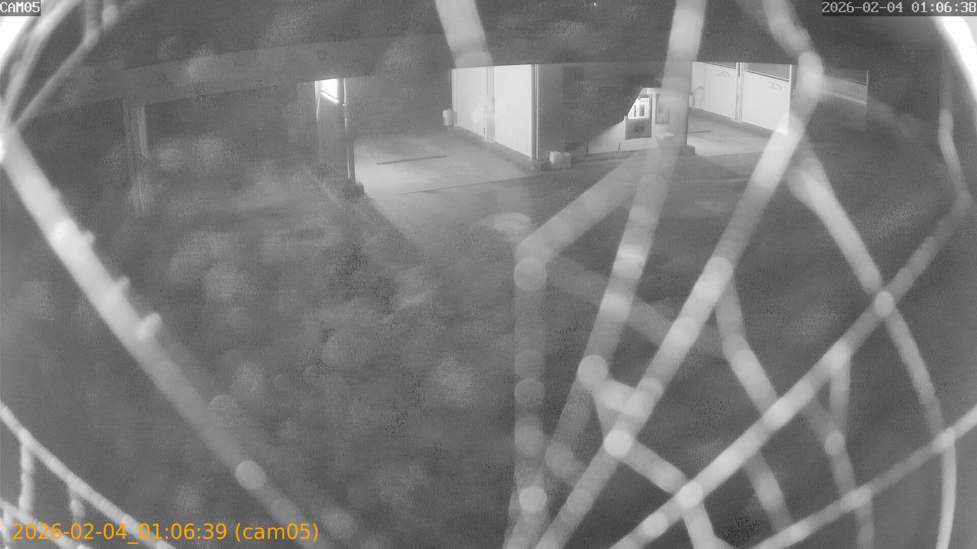 thumbnail_20260204010639