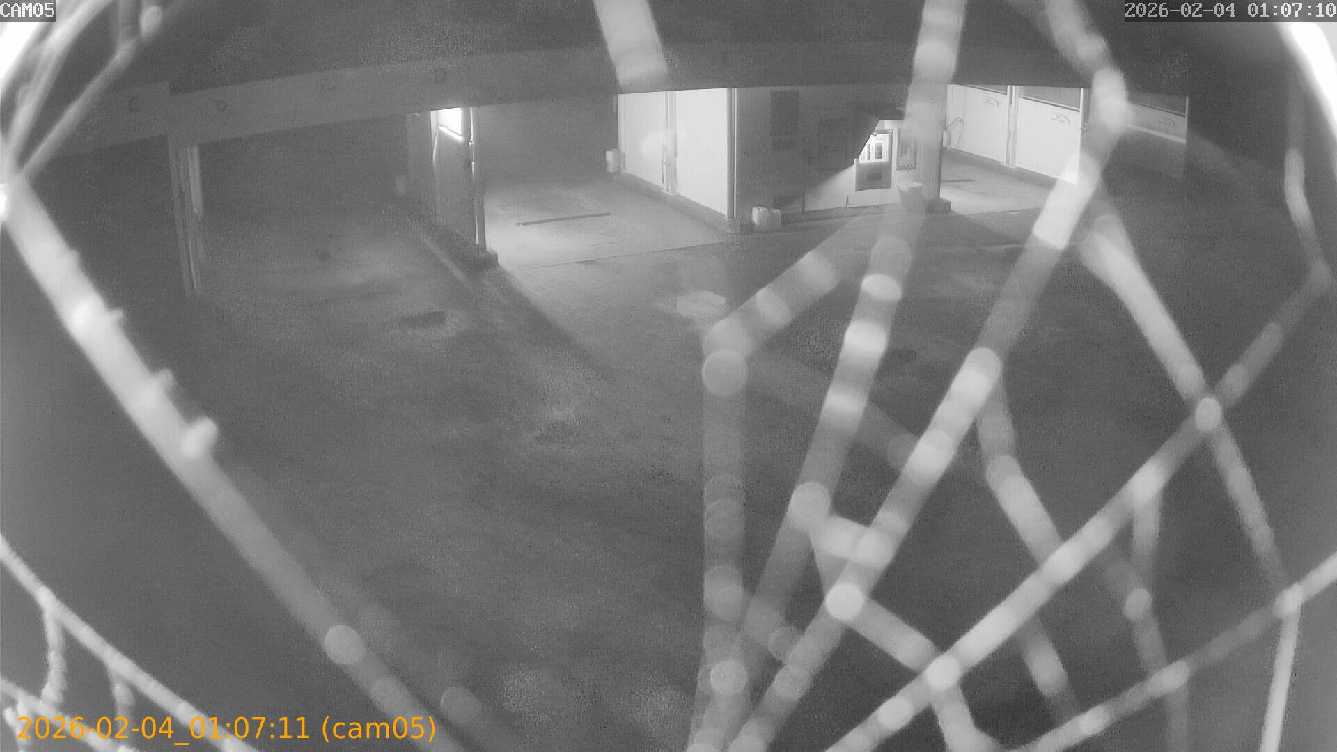 thumbnail_20260204010711