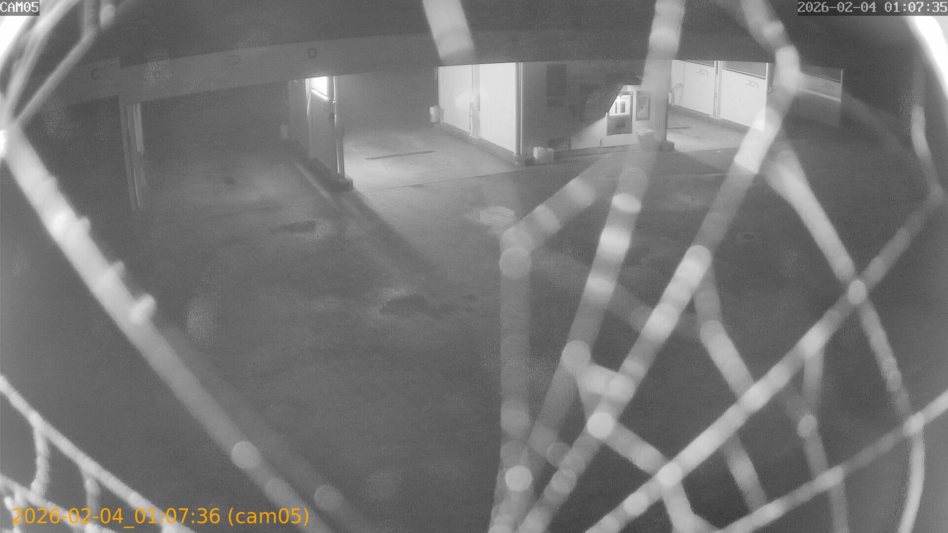 thumbnail_20260204010736