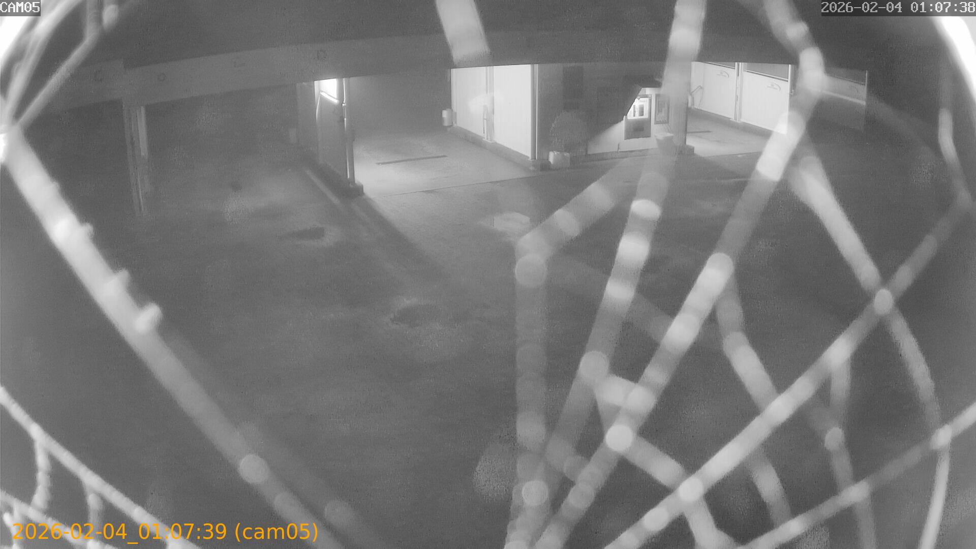 thumbnail_20260204010739