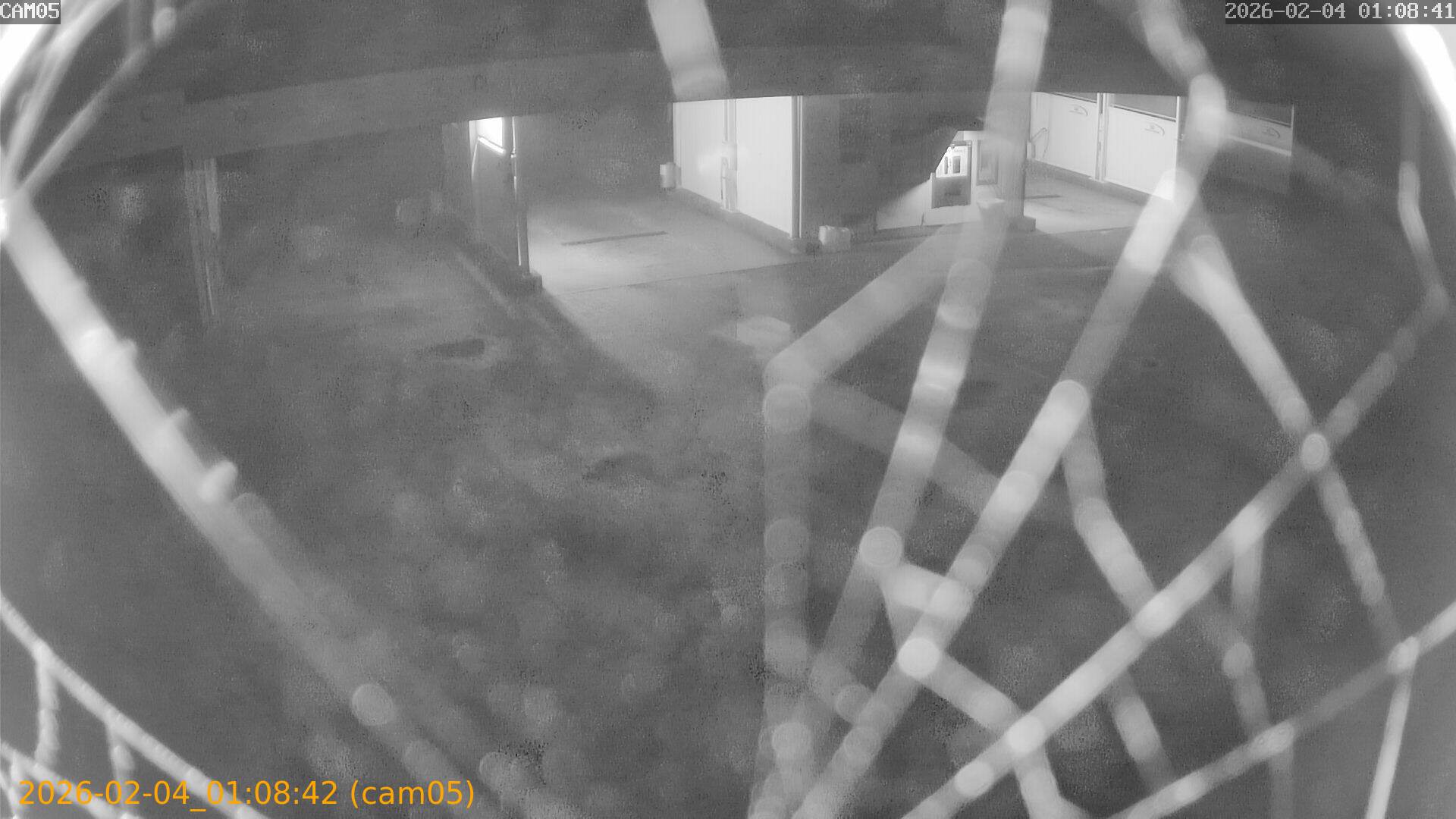 thumbnail_20260204010842