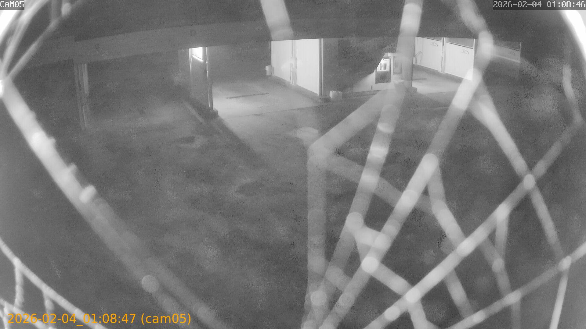 thumbnail_20260204010847