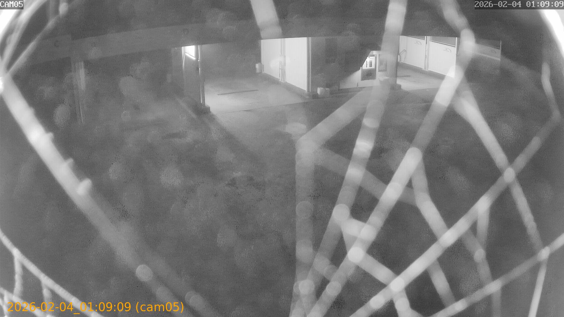 thumbnail_20260204010909