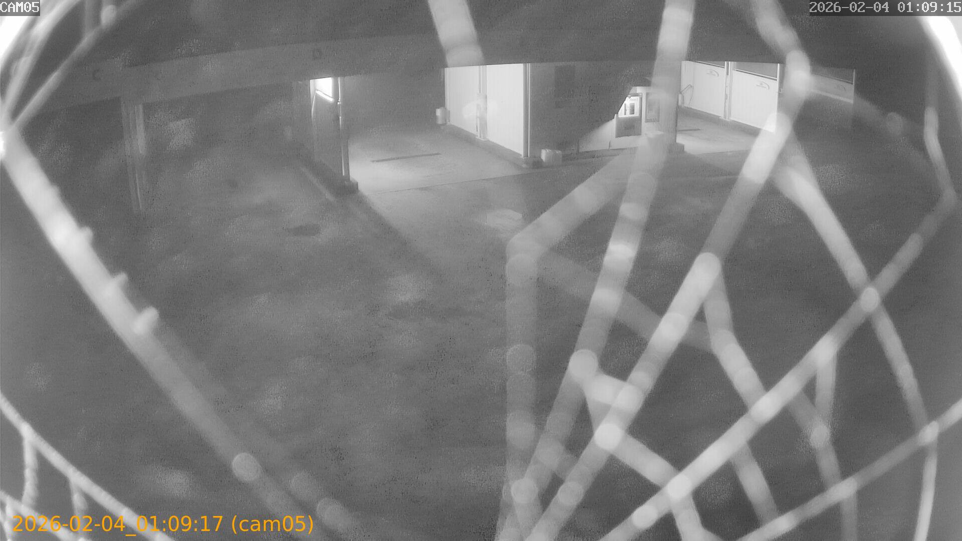 thumbnail_20260204010916