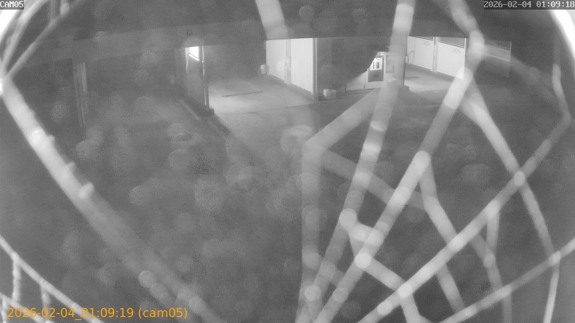 thumbnail_20260204010918