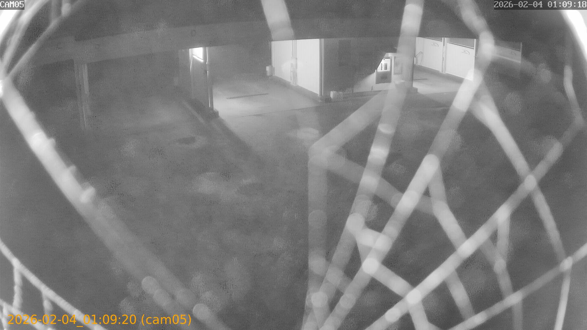 thumbnail_20260204010920