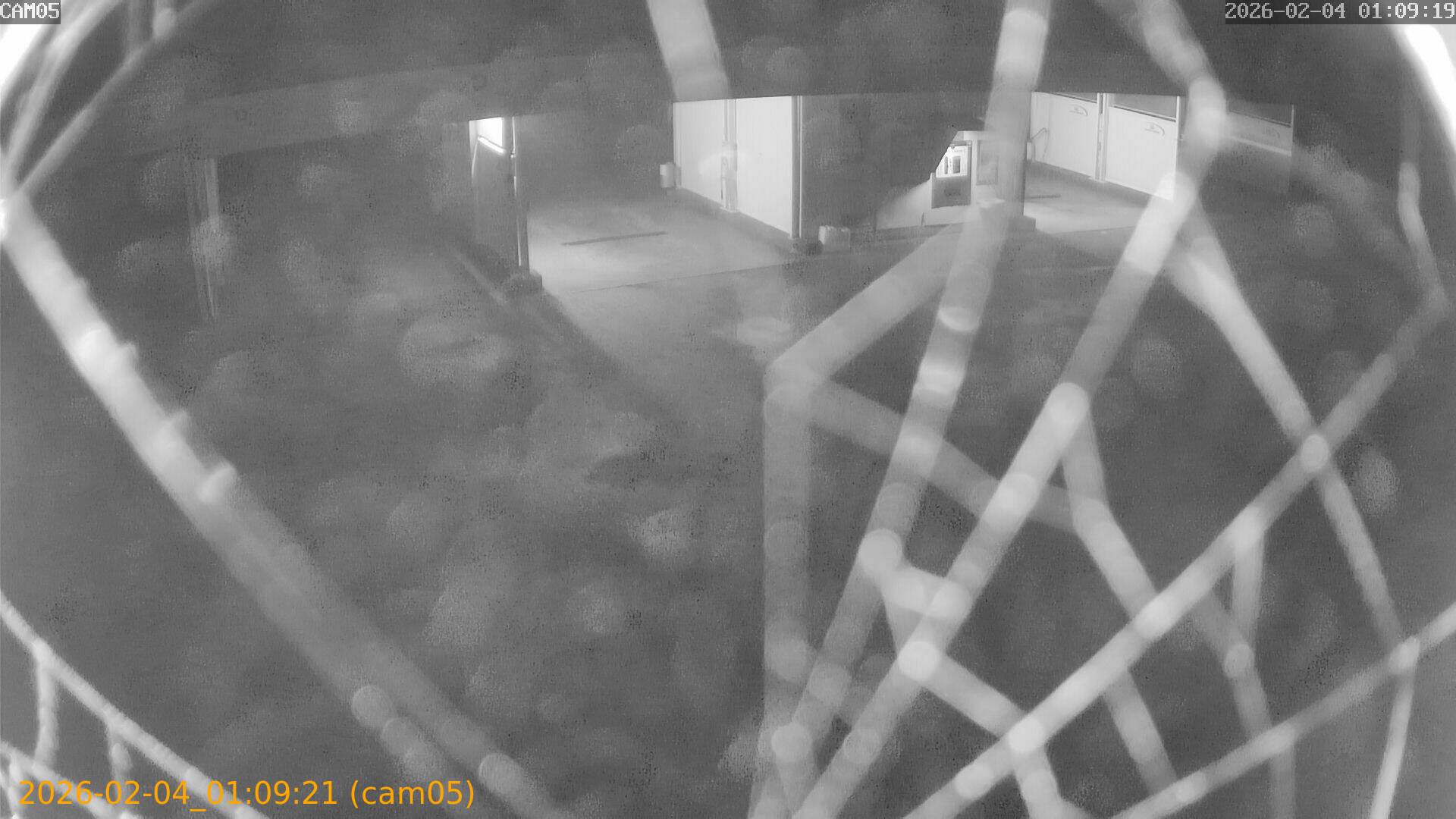 thumbnail_20260204010921