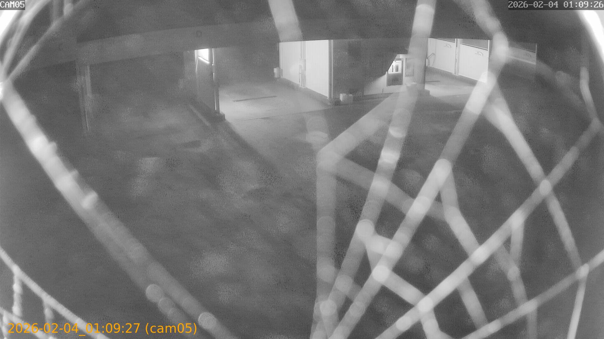 thumbnail_20260204010927