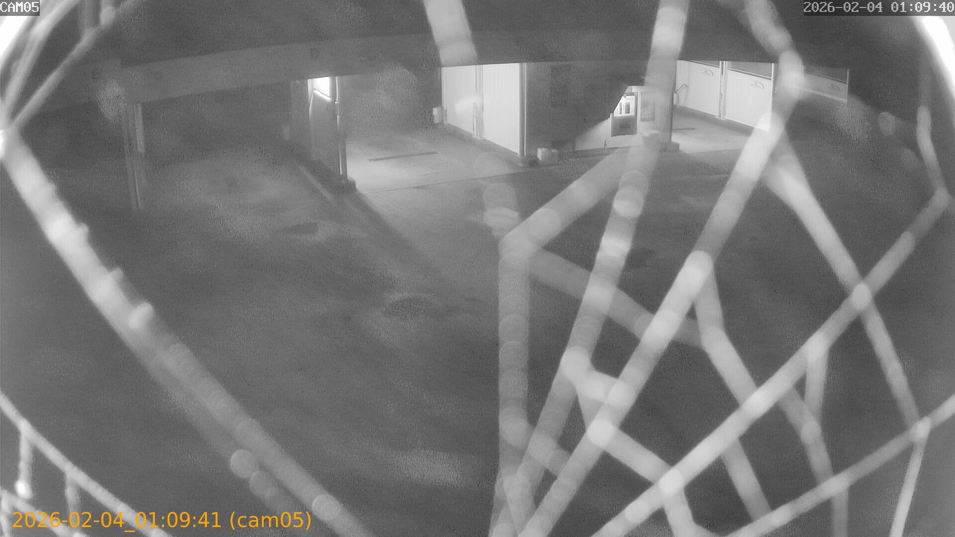 thumbnail_20260204010941