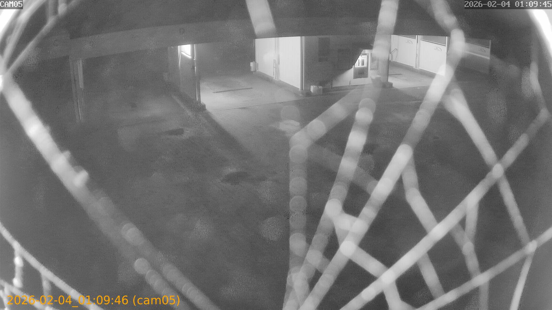 thumbnail_20260204010946