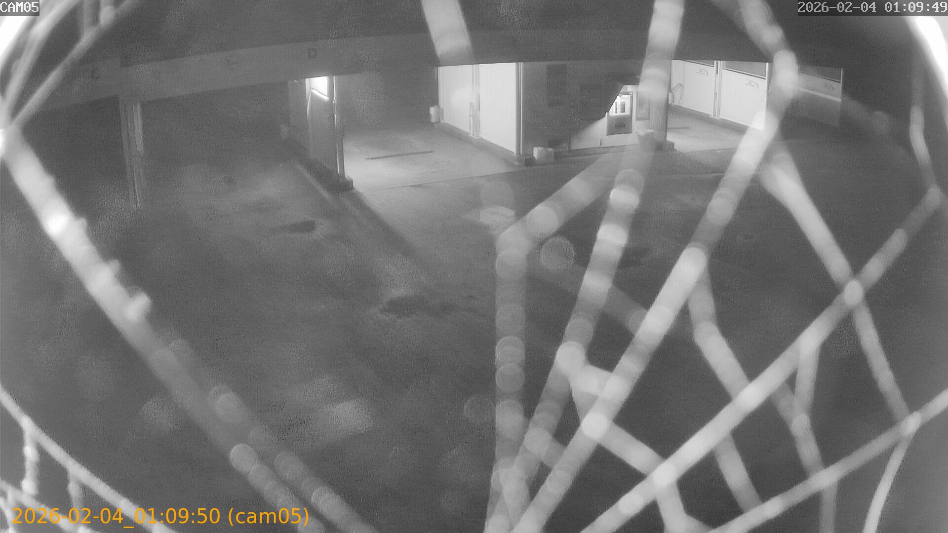 thumbnail_20260204010950