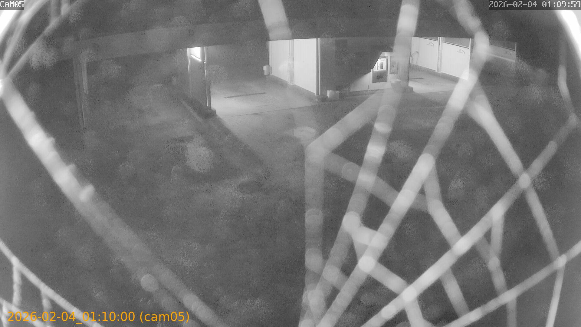 thumbnail_20260204011000