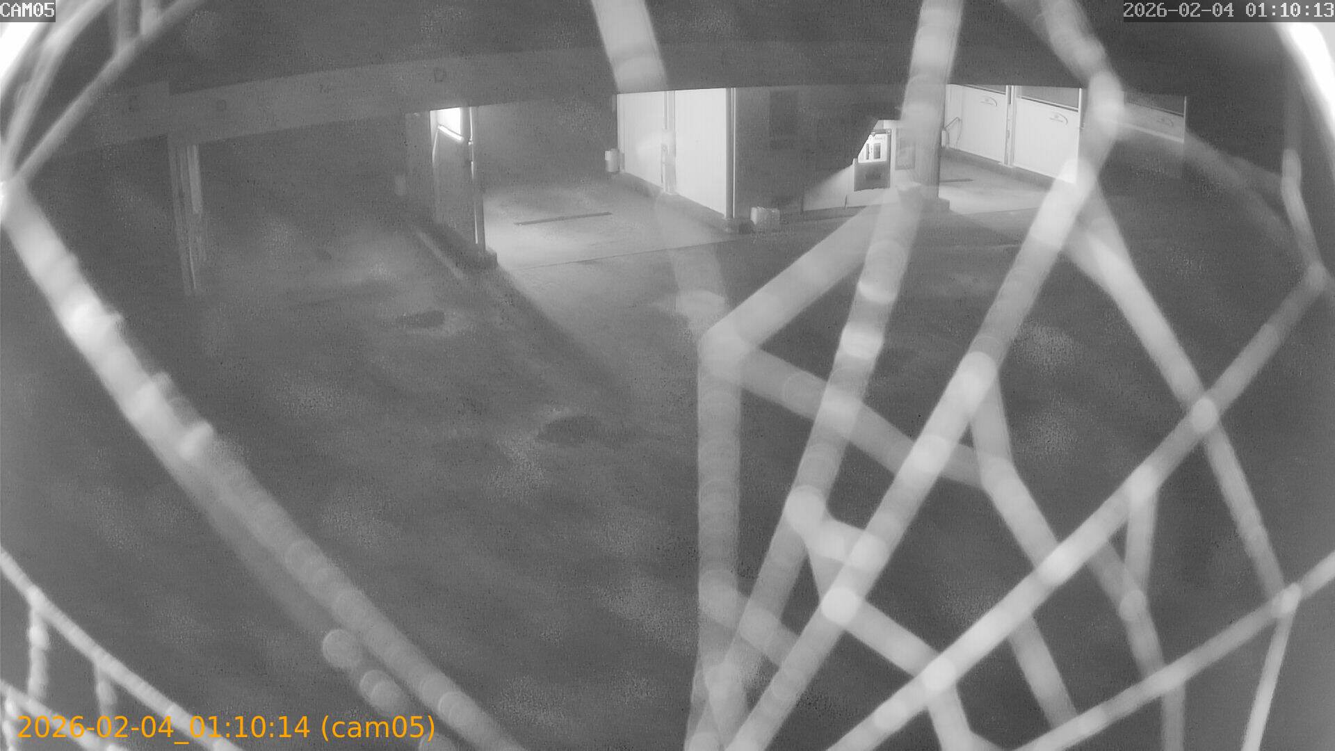 thumbnail_20260204011014