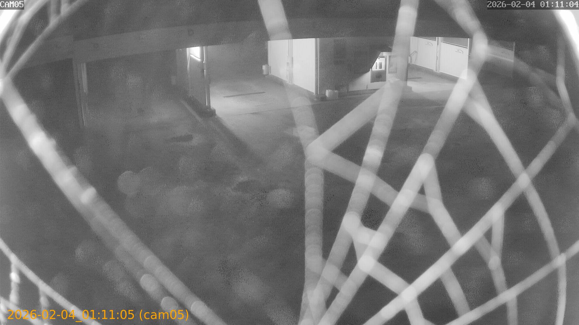 thumbnail_20260204011105