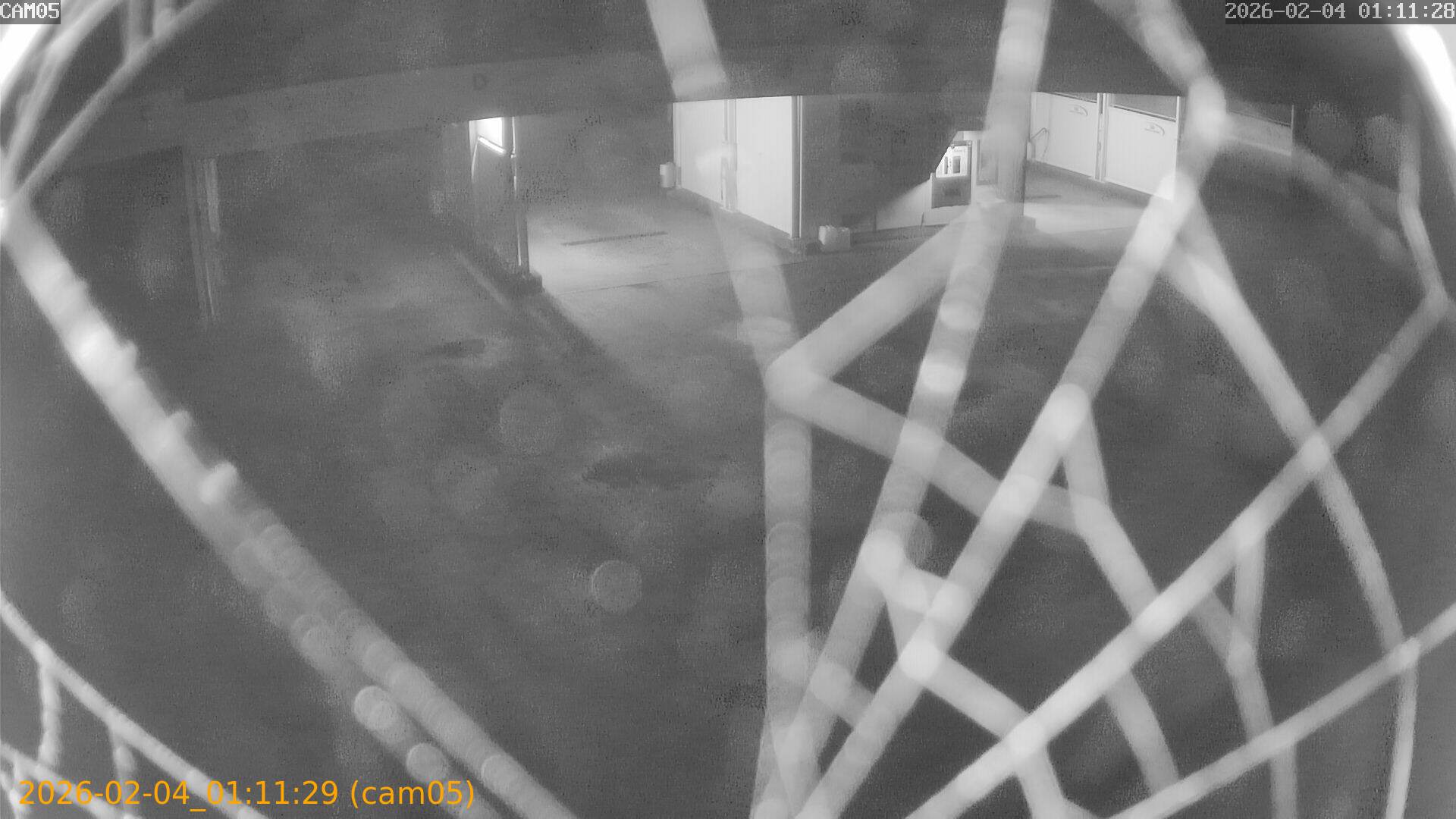 thumbnail_20260204011129