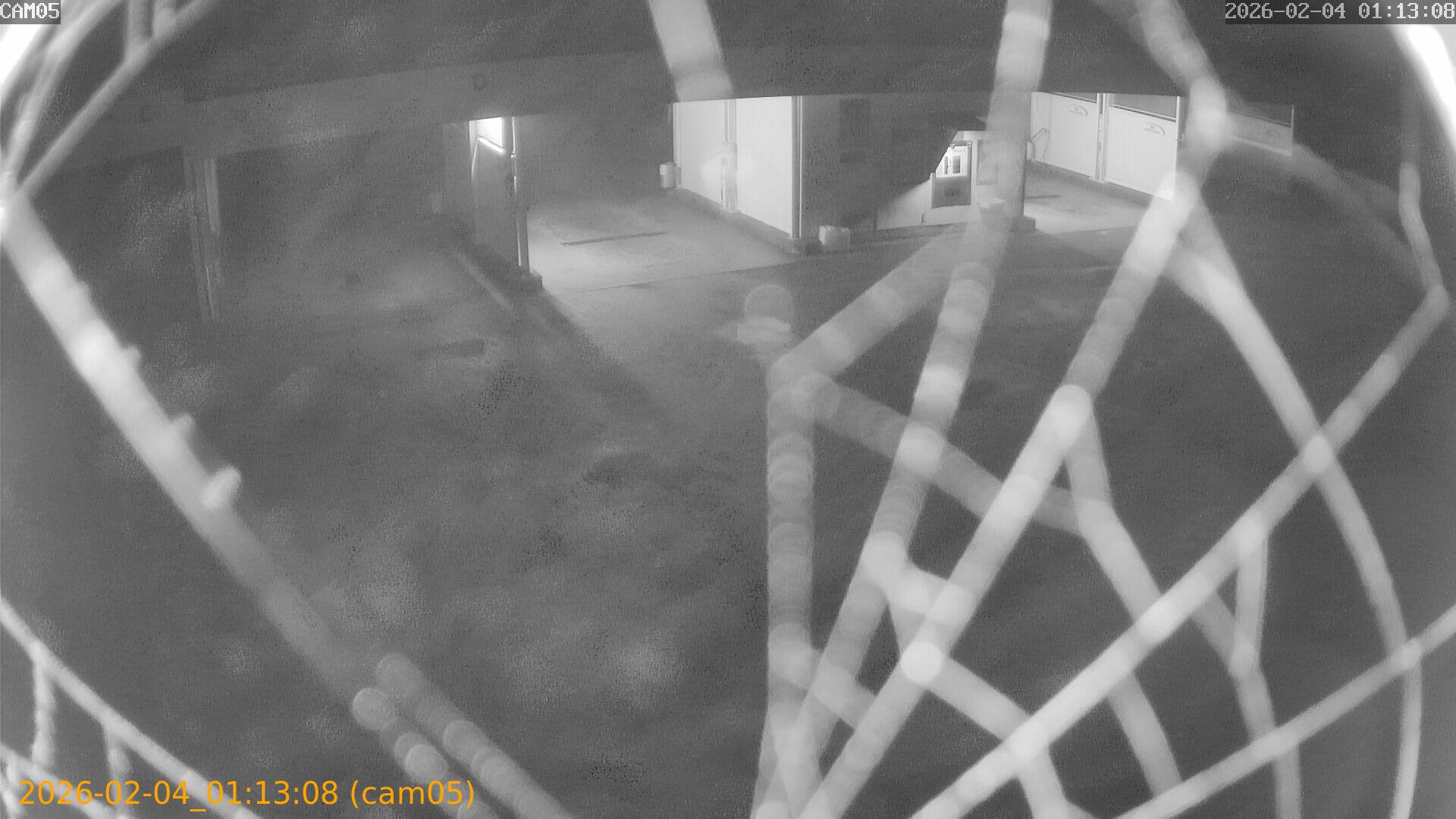 thumbnail_20260204011308