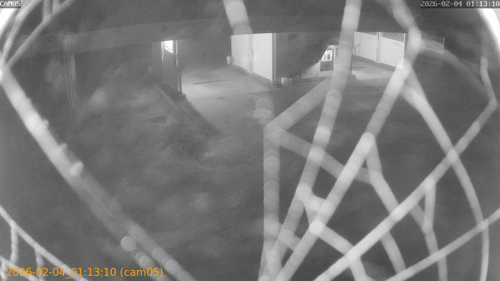 thumbnail_20260204011310