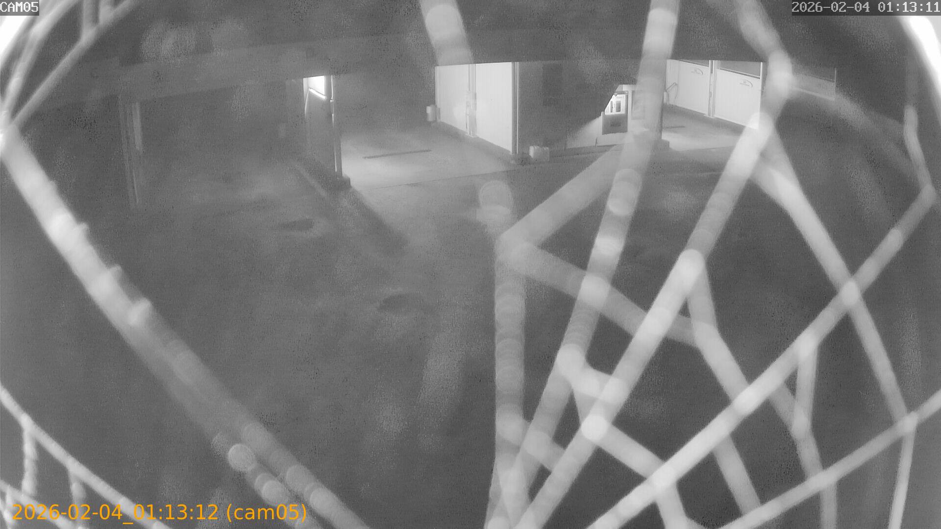 thumbnail_20260204011312