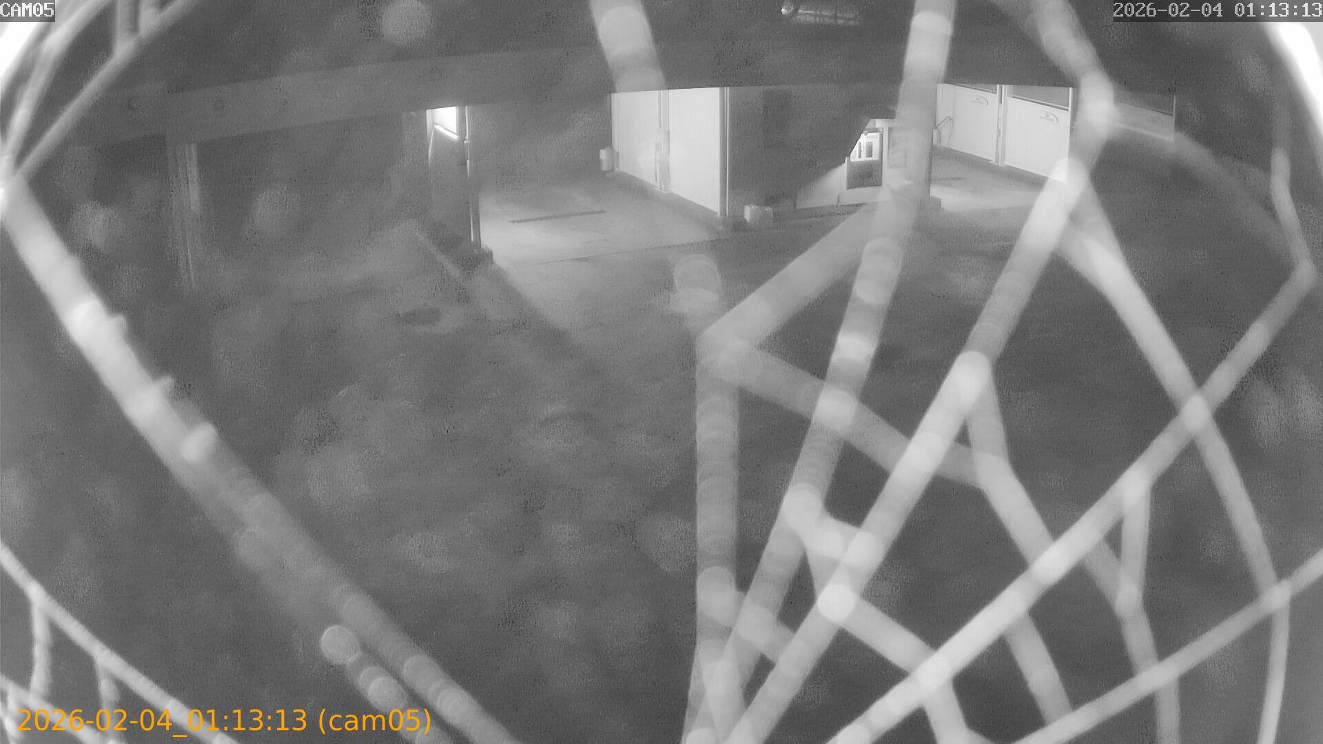 thumbnail_20260204011313