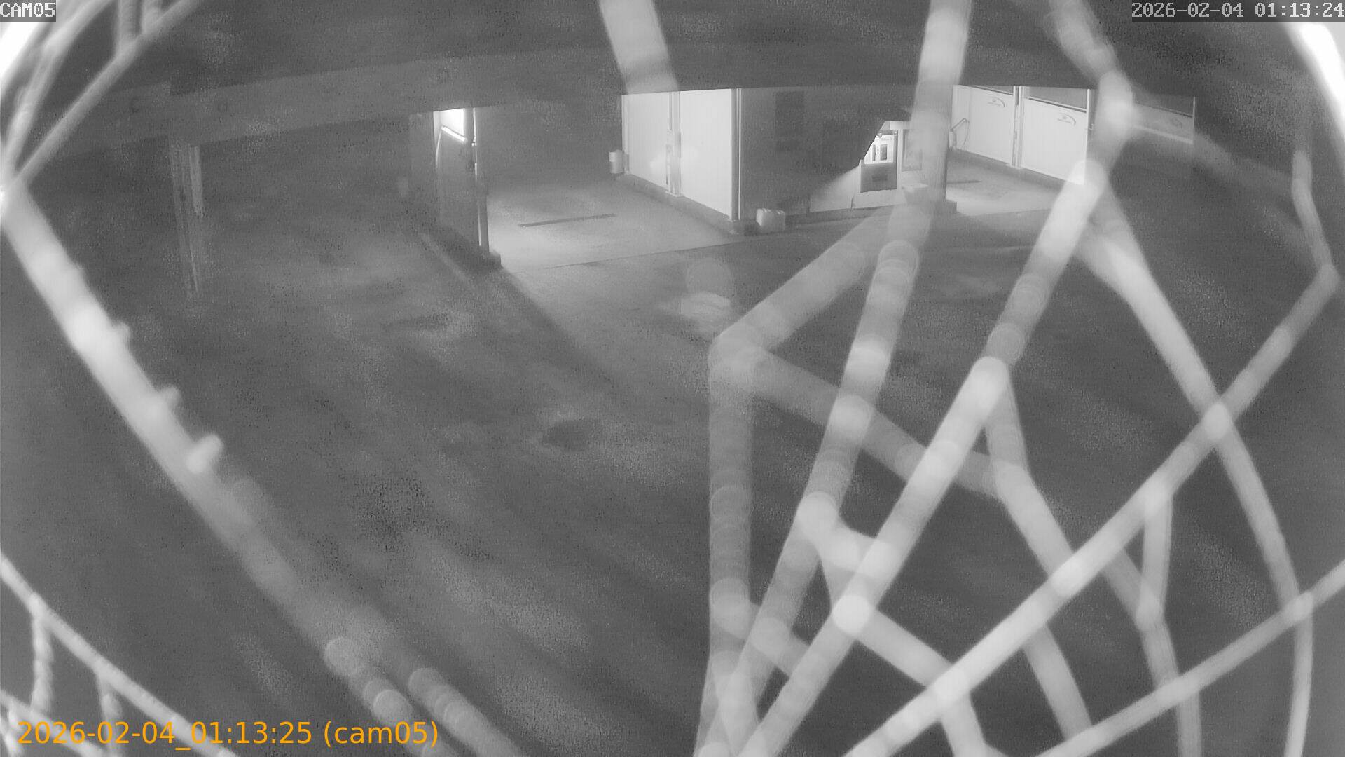 thumbnail_20260204011324