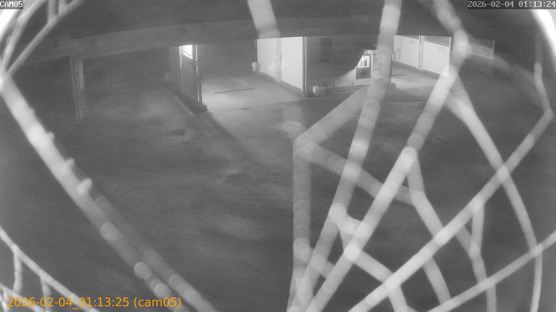 thumbnail_20260204011325