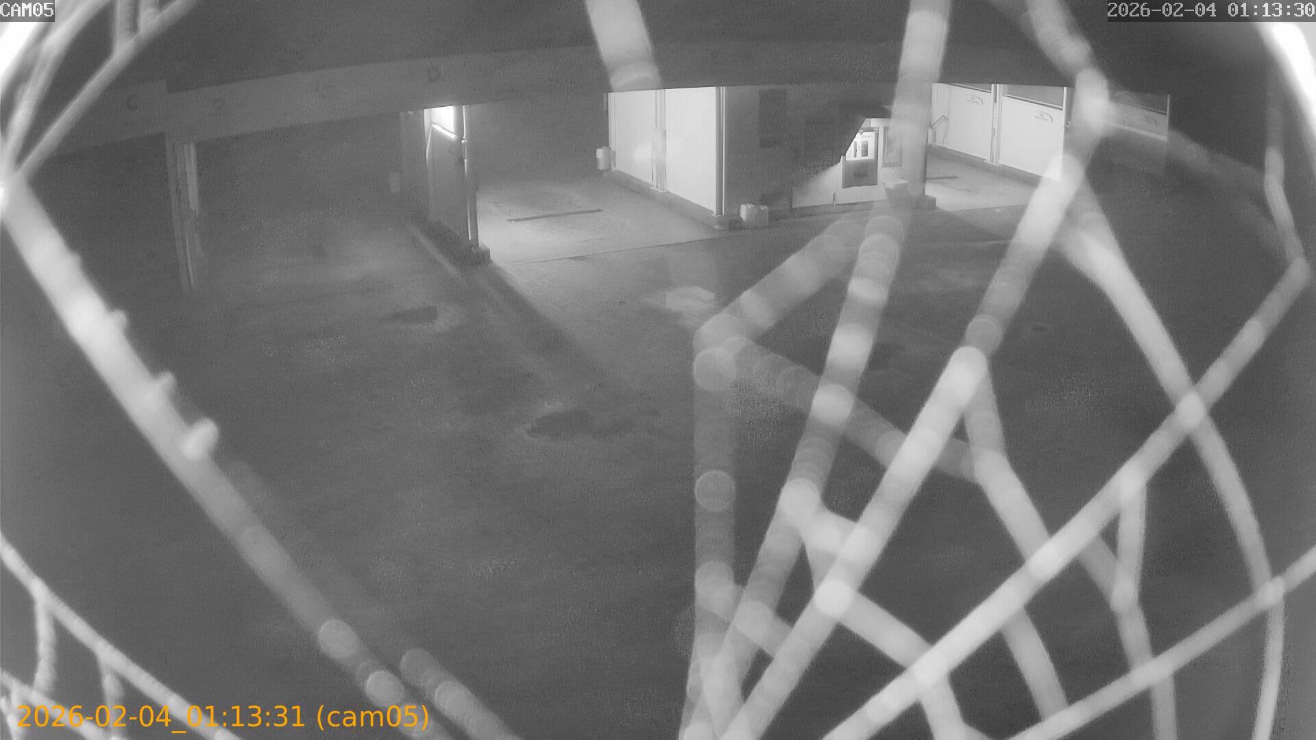 thumbnail_20260204011331