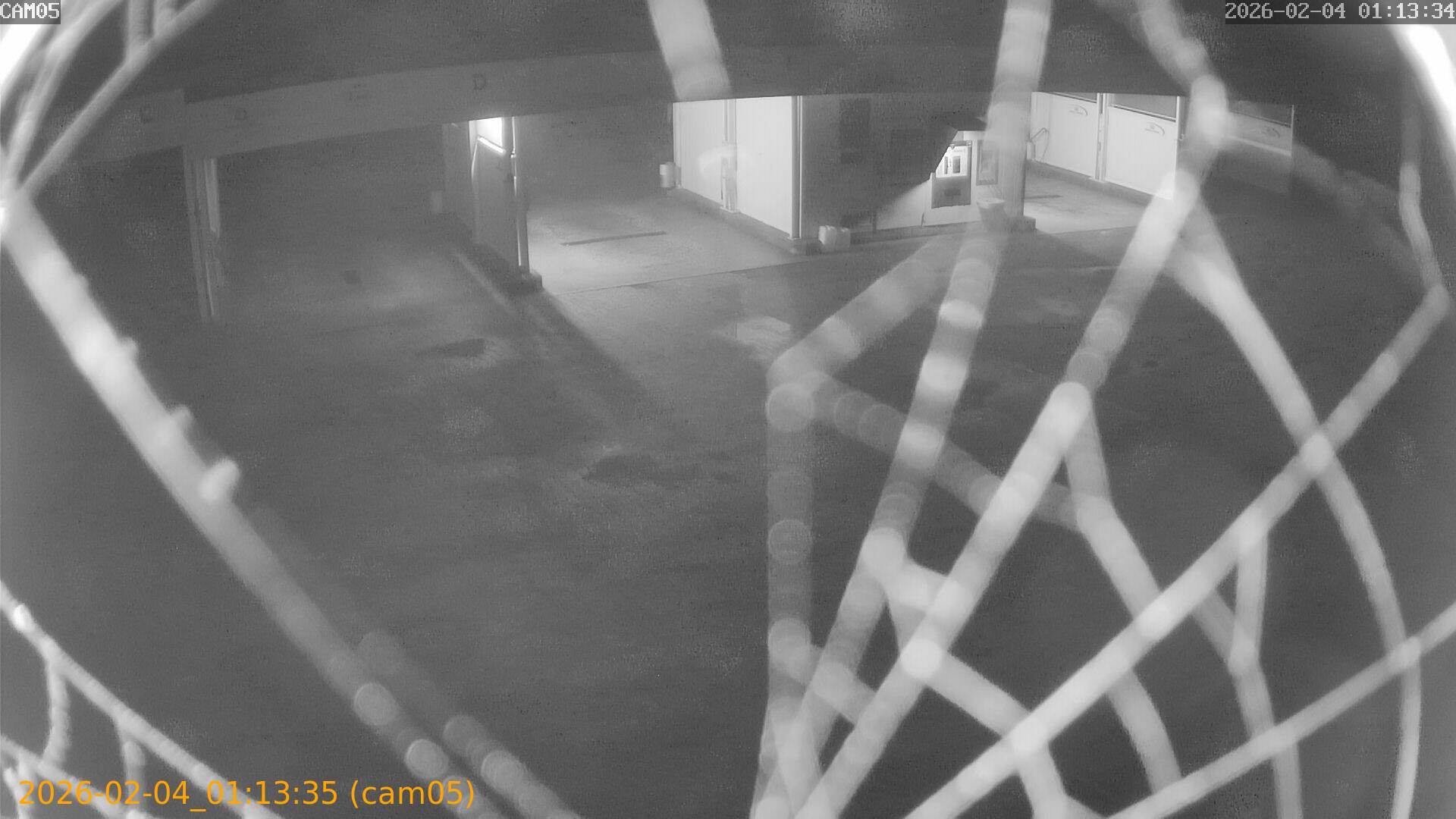 thumbnail_20260204011335