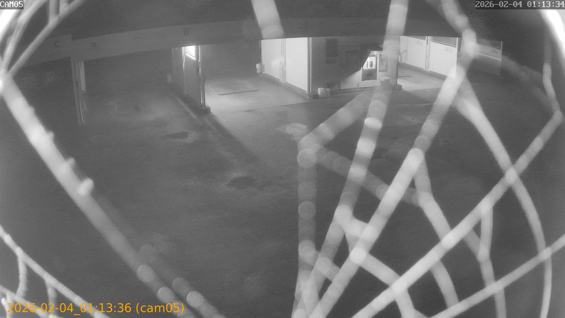 thumbnail_20260204011336