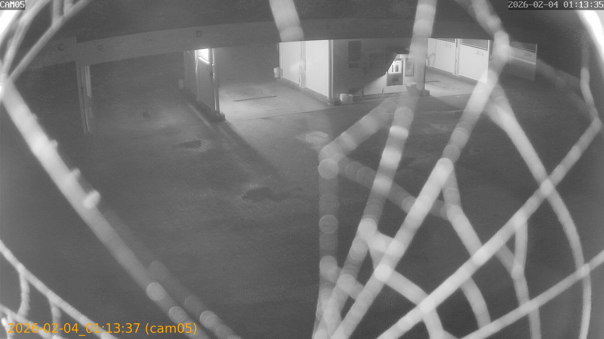 thumbnail_20260204011337