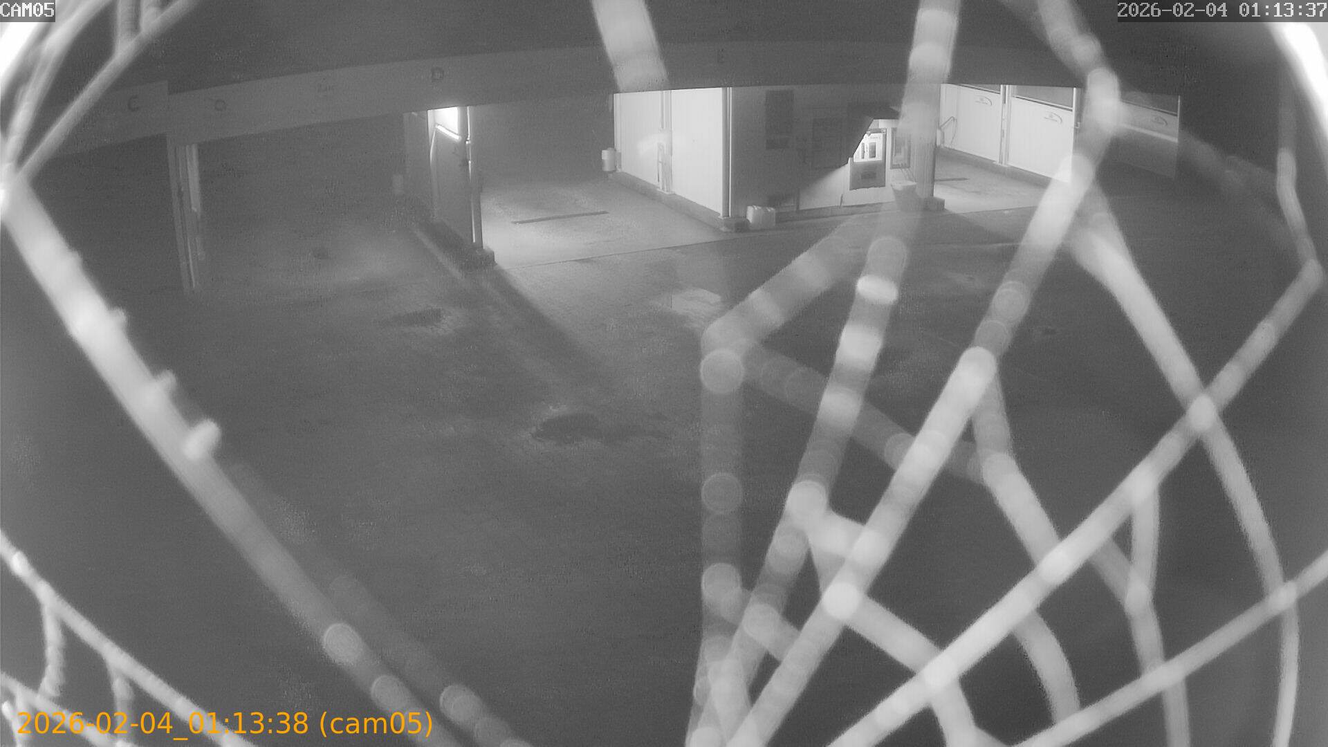 thumbnail_20260204011338