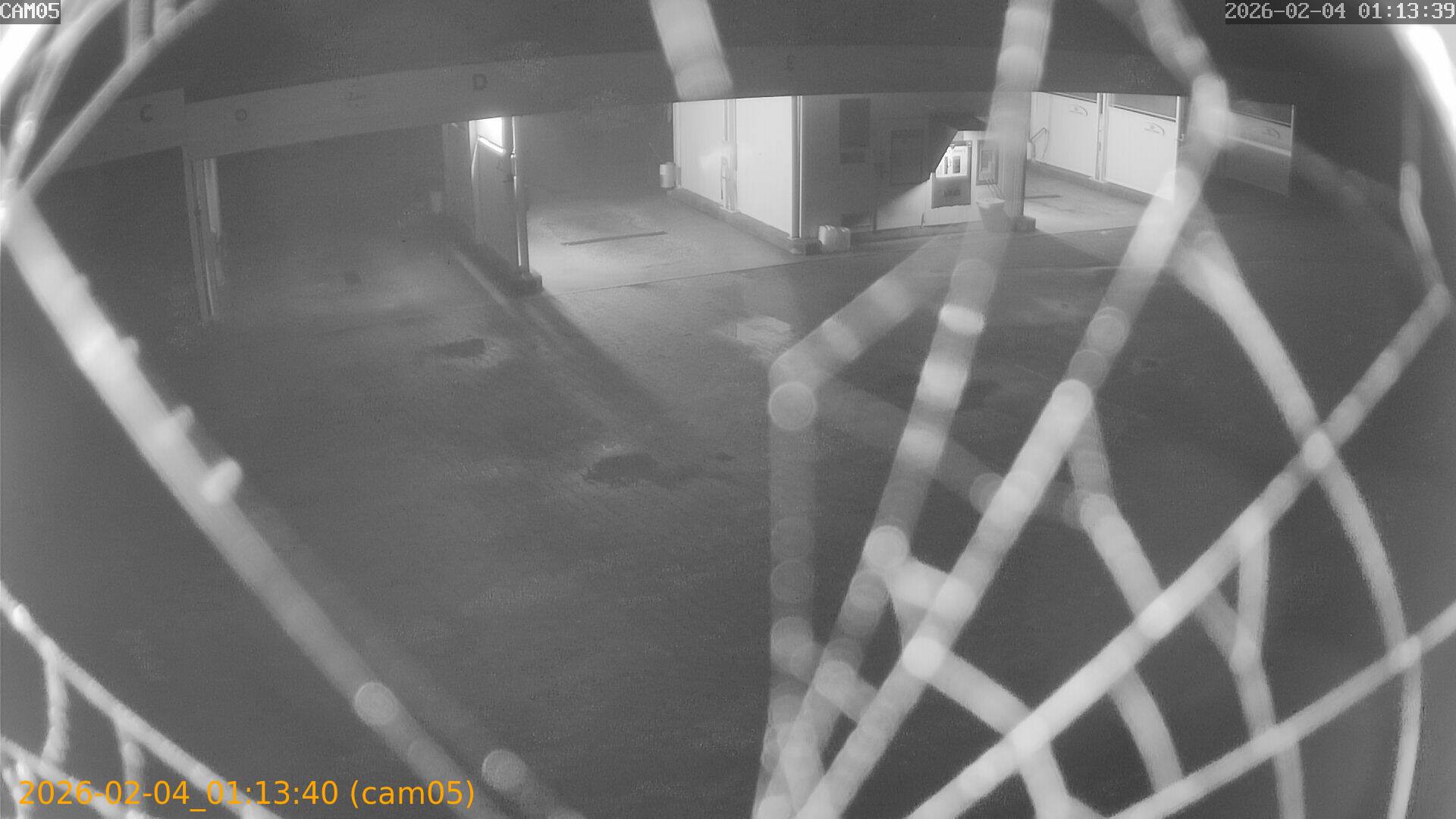 thumbnail_20260204011340