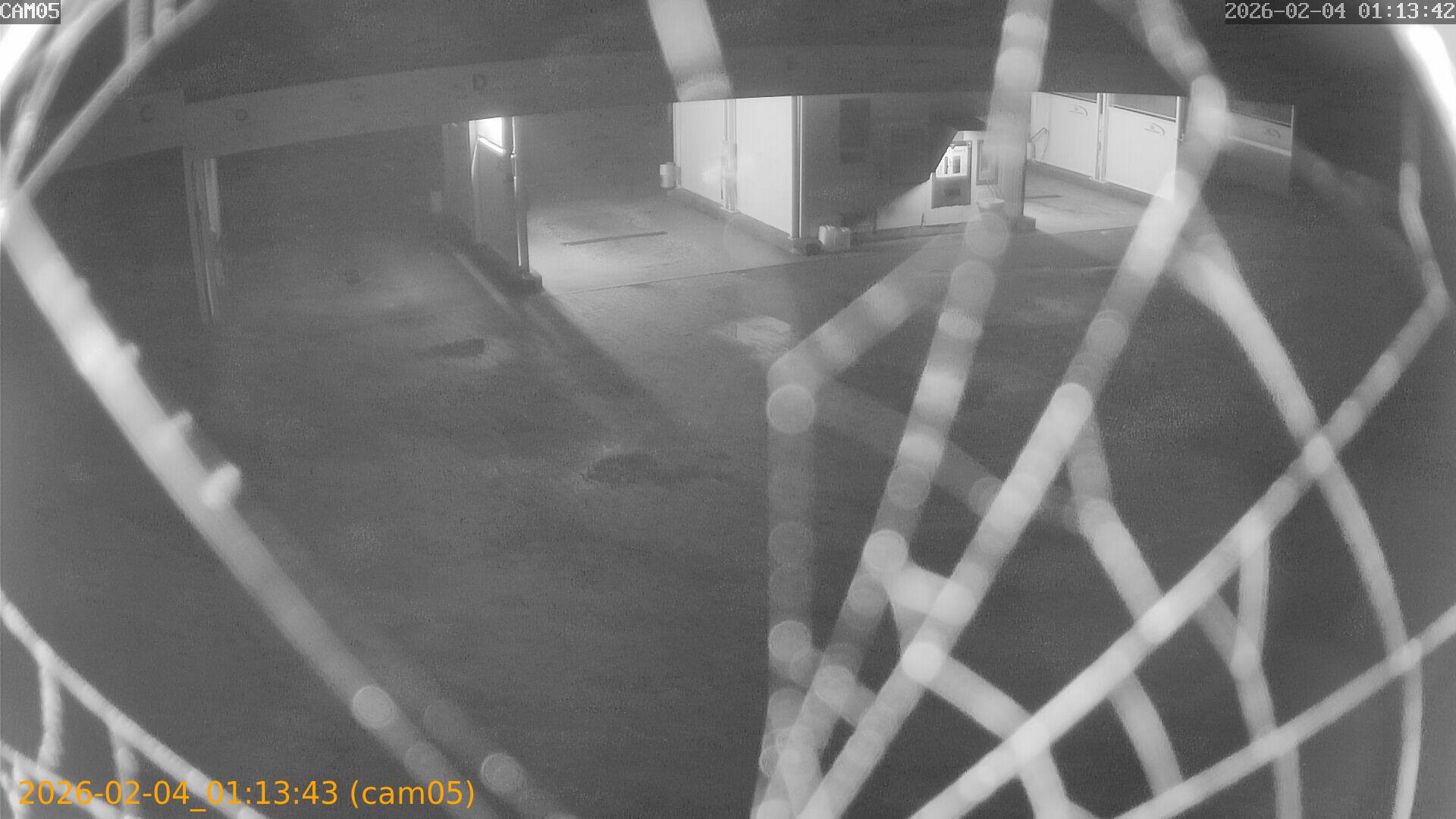 thumbnail_20260204011343