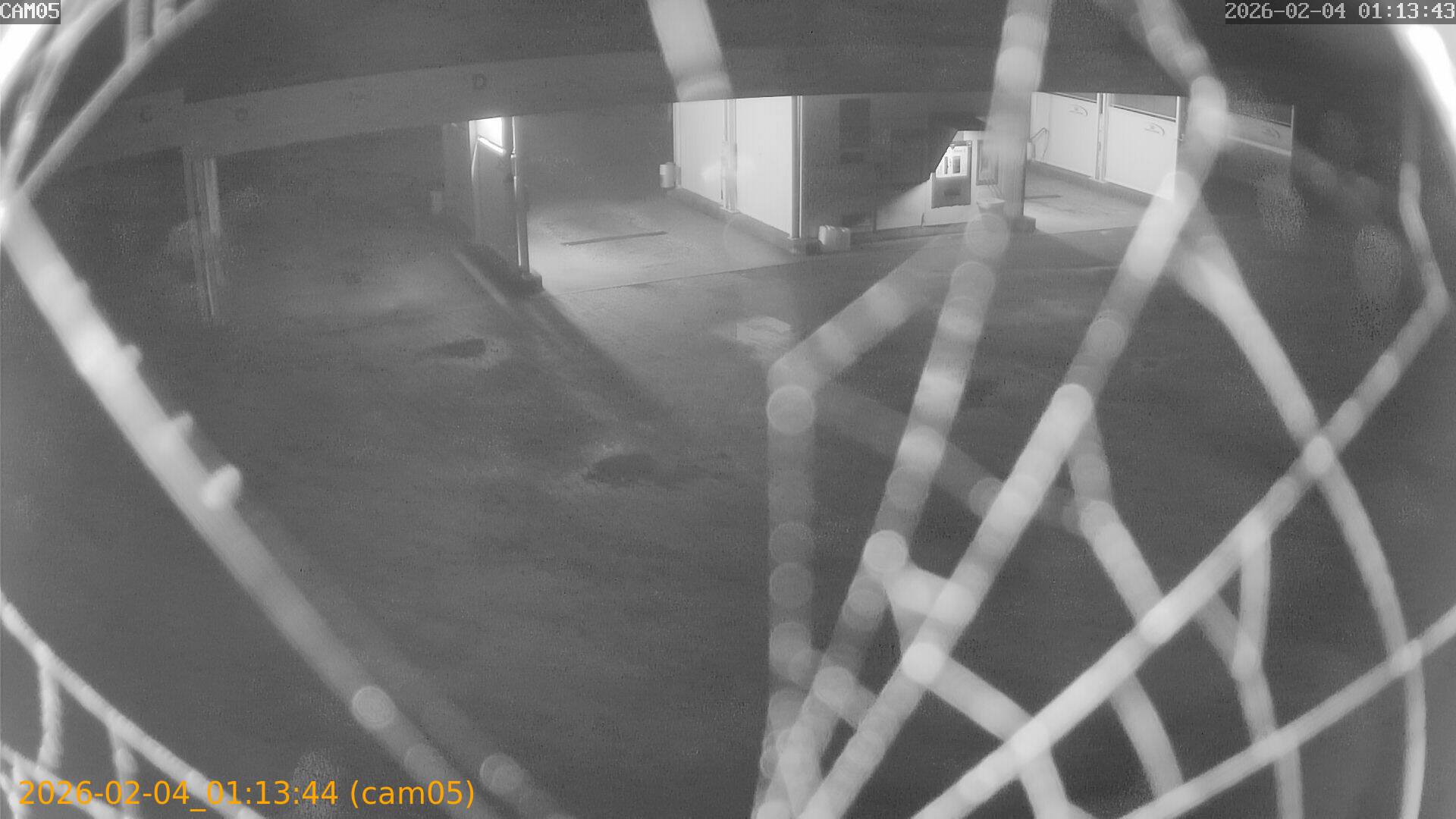 thumbnail_20260204011344