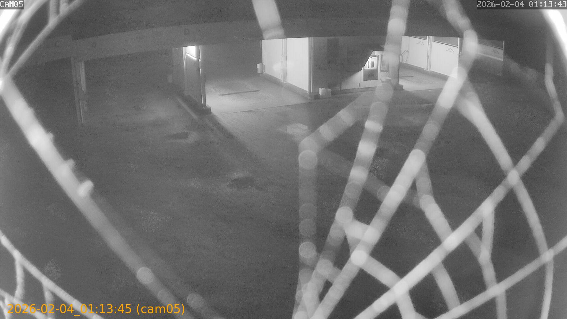 thumbnail_20260204011345