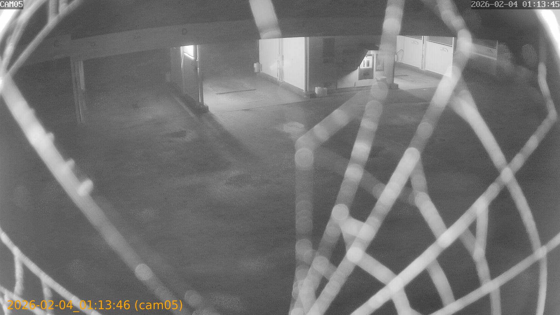 thumbnail_20260204011346