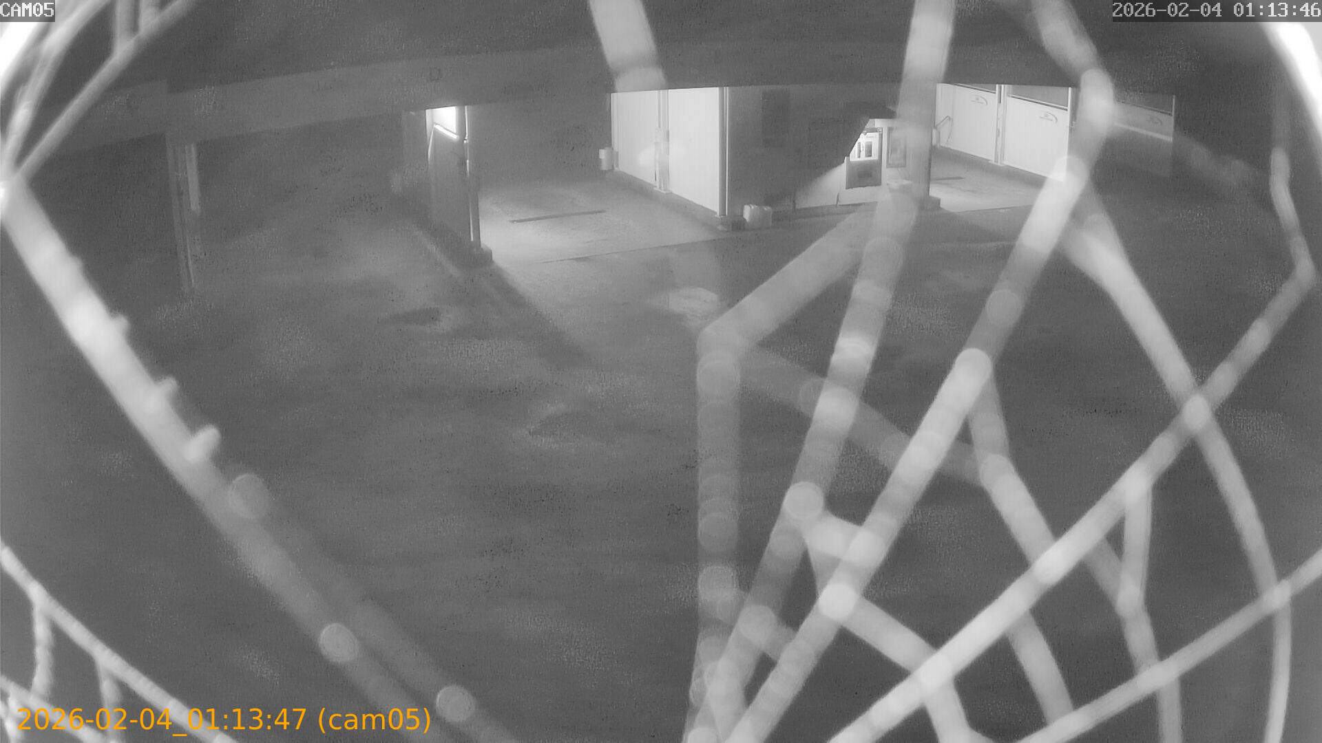 thumbnail_20260204011347