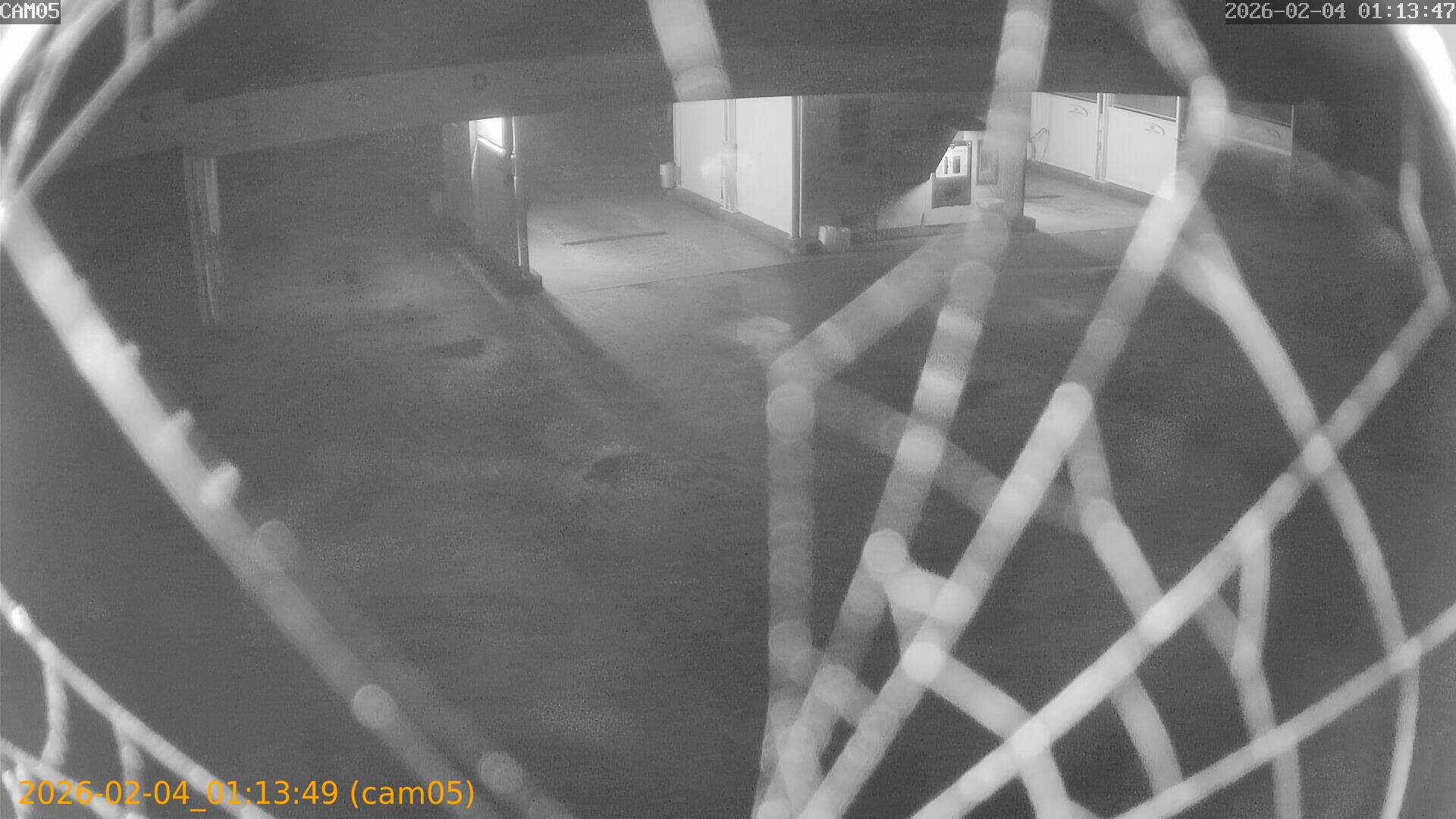 thumbnail_20260204011349