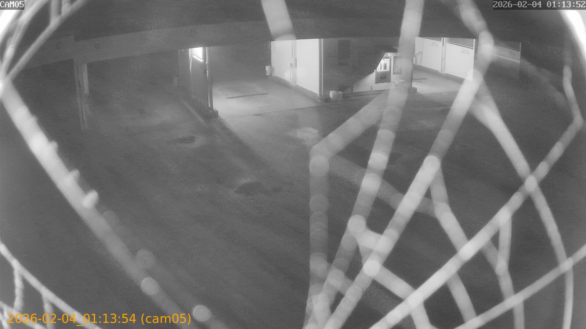 thumbnail_20260204011354