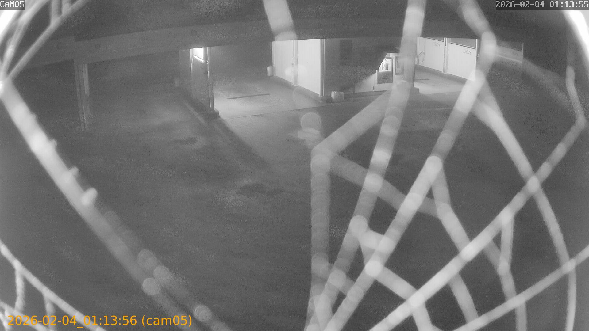 thumbnail_20260204011356