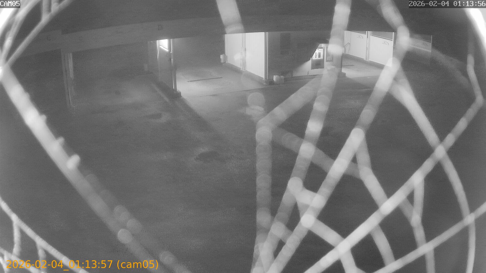 thumbnail_20260204011357