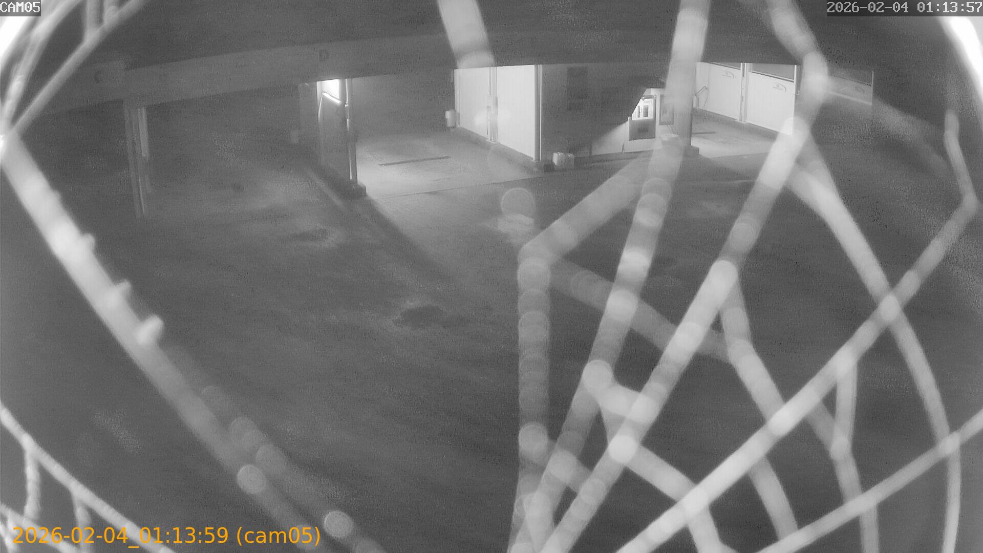 thumbnail_20260204011359